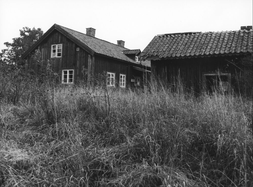 Ett äldre hus med slitet uthus där tegelpannor saknas och en oslagen äng framför.