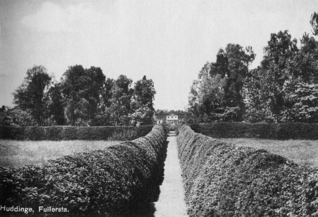 Svartvitt vykort med gården längst bort i en symetrisk trädgård med långa granhäckar.
