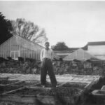 En ung man med vida byxor och vit skjorta står i en odlingslåda med växthus i bakgrundet på detta svartvita foto.