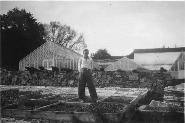 En ung man med vida byxor och vit skjorta står i en odlingslåda med växthus i bakgrundet på detta svartvita foto.