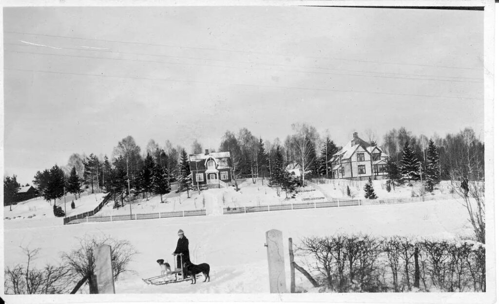 Ett svartvitt foto av en kvinna med spark och hund på ett snöigt fält. I fonden ligger två stora hus.